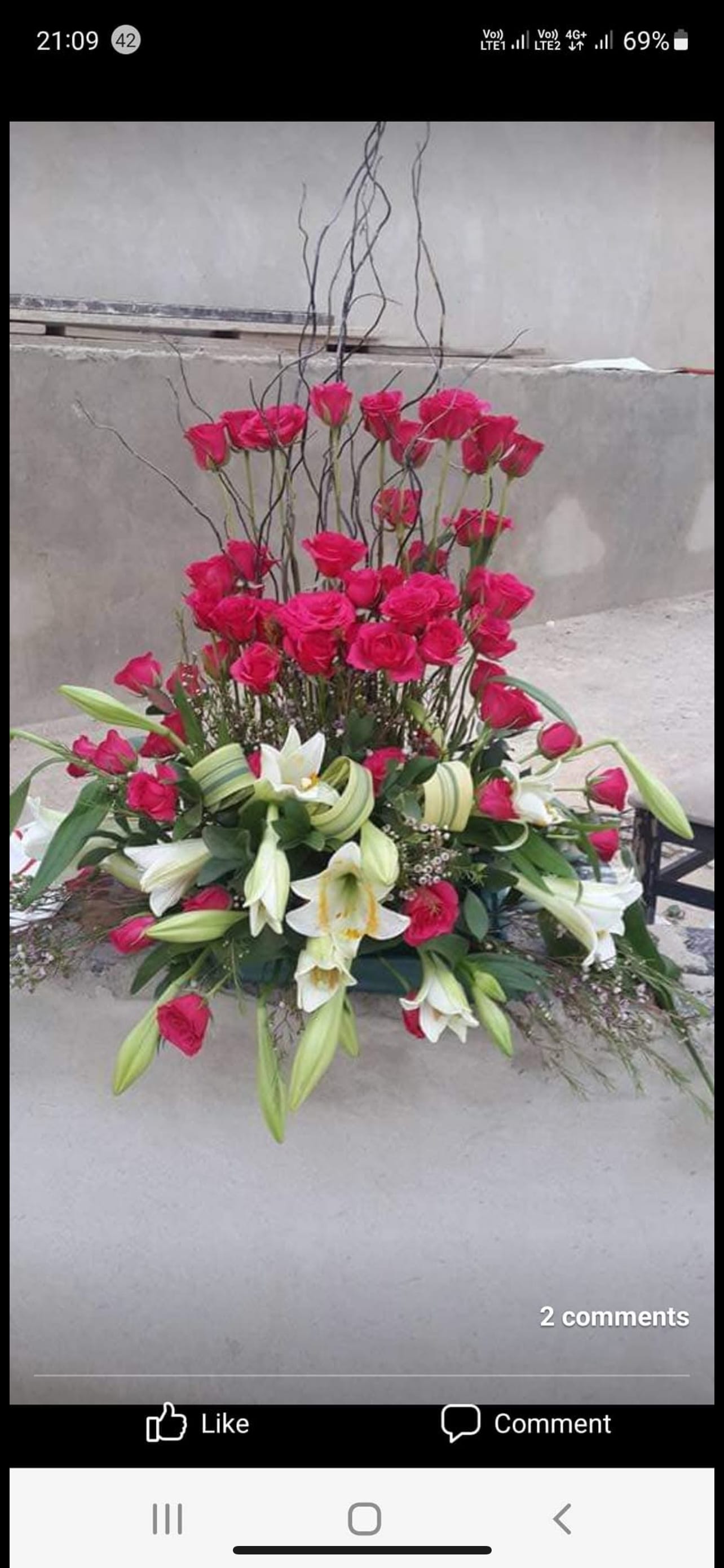 For occasions photo 26